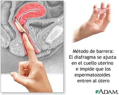 diafragma 2