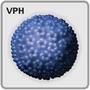 vph 1